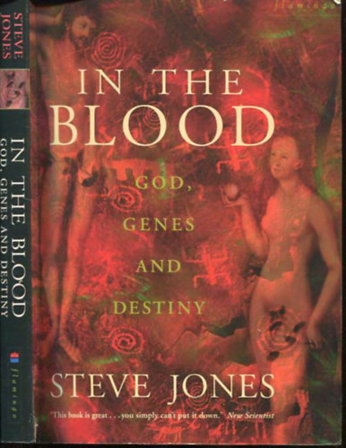 Steve Jones - In the Blood