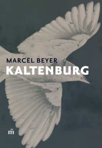 Marcel Beyer - Kaltenburg