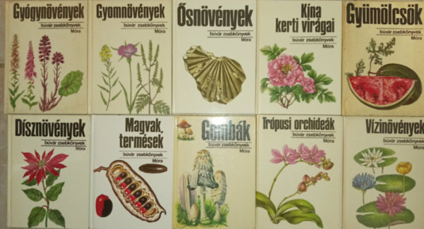 B�v�r Zsebk�nyvek - 10 db-os B�v�r zsebk�nyvek sorozat (n�v�nyvil�g): Gy�gyn�v�nyek / Gyomn�v�nyek / �sn�v�nyek / K�na kerti vir�gai / Gy�m�lcs�k / D�szn�v�nyek / F�k, bokrok / Magvak, term�sek / Gomb�k / Tr�pusi orchide�k / V�zin�v�nyek
