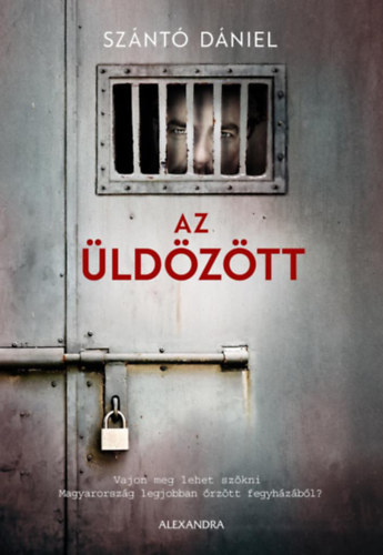 Sznt Dniel - Az ldztt