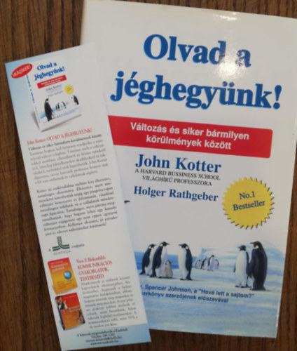 John Kotter - Olvad a jghegynk!