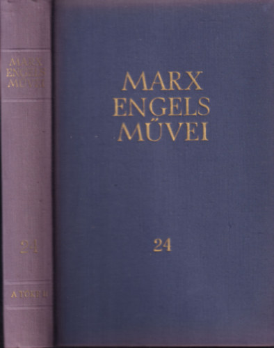 Karl Marx s Friedrich Engels mvei 24.: A tke II.