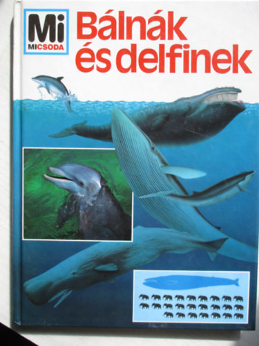 Petra Deimer - Blnk s delfinek (Mi micsoda)