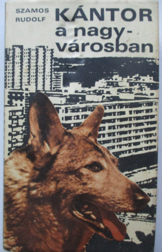 Szamos Rudolf - K�ntor a nagyv�rosban