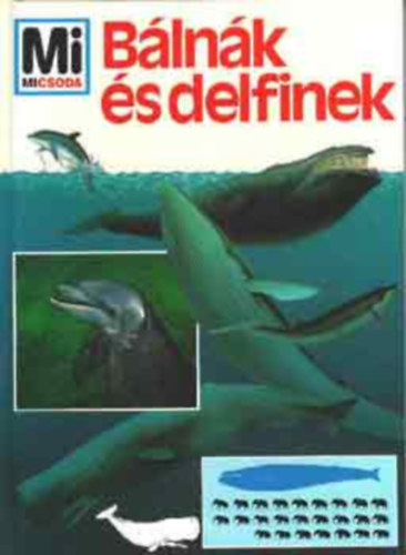 B�ln�k �s delfinek