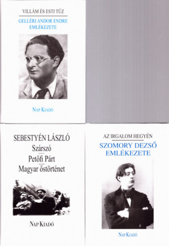 Rz Pl  Sebestyn Lszl (szerk.), Fzi Lszl (szerk.) - 3 db irodalomtrtnet: Villm s esti tz (Gellri Andor Endre emlkezete), Az irgalom hegyn (Szomory Dezs emlkezete), Szrsz-Petfi Prt-Magyar strtnet