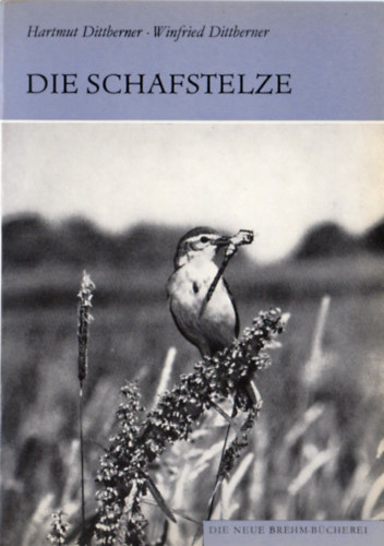 Winfried Dittberner Hartmut Dittberner - Die Schafstelze (Motacilla flava)