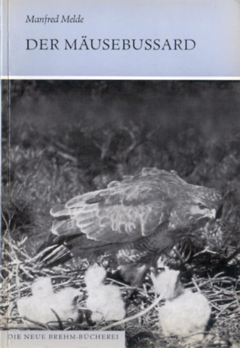 Manfred Melde - Der Mäusebussard (Buteo buteo buteo (L.))