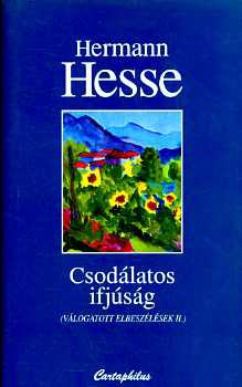 Hermann Hesse - Csodálatos ifjúság