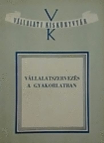 Dr. Szab� L�szl� - V�llalatszervez�s a gyakorlatban