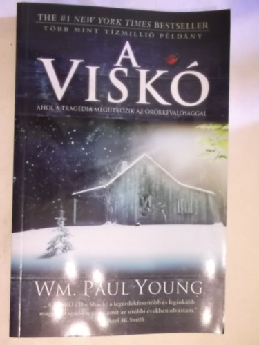 Wm. Paul Young - A visk