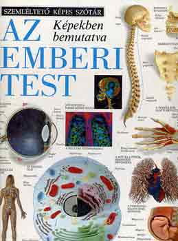 Chez Picthall - Az emberi test kpekben bemutatva (Szemlltet kpes sztr)