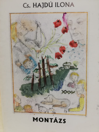 Cs. Hajd Ilona - Montzs