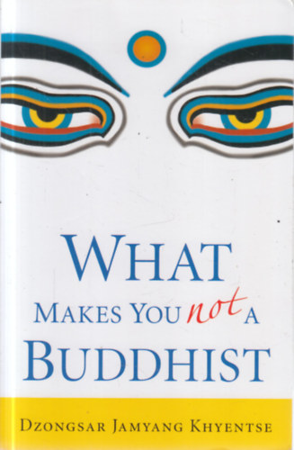 Dzongsar Jamyang Khyentse - What Makes You Not a Buddhist