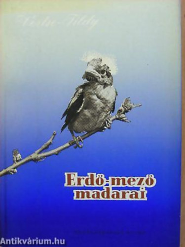 Vertse Albert - Ifj. Tildy Zoltn - Erd-mez madarai