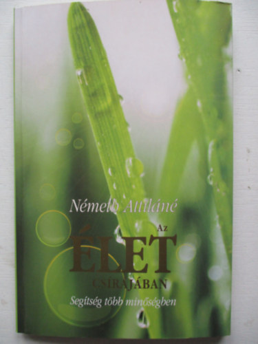 N�meth Attil�n� - Az �let cs�r�j�ban
