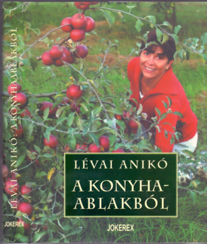 Lvai Anik - A konyhaablakbl