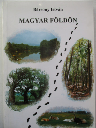 Brsony Istvn - Magyar fldn