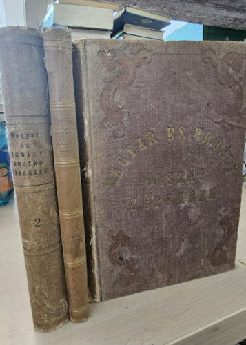 Hunfalvy János - Rohbock Lajos - Magyarország és Erdély eredeti képekben I-III. - NEM REPRINT