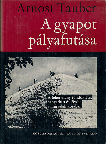 Arnost Tauber - A gyapot plyafutsa