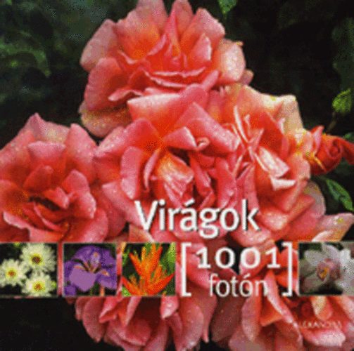 Virgok 1001 fotn