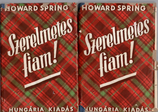 Howard Spring - Szerelmetes fiam! I-II.