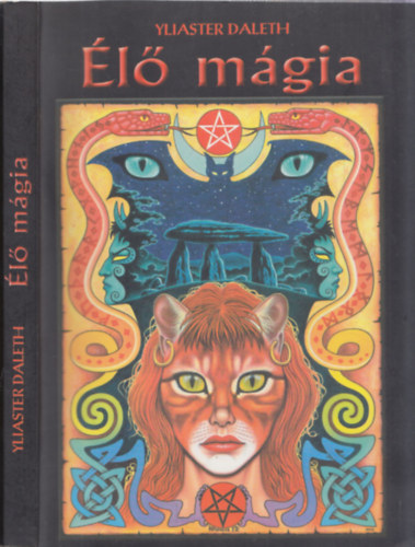 Yliaster Daleth - �l� m�gia