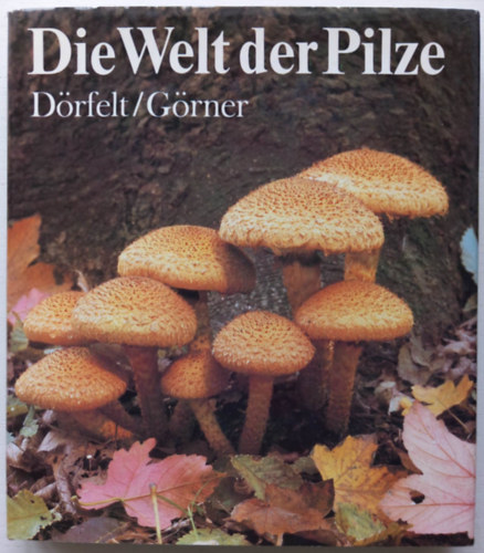D�rfelt-G�rner - Die welt der Pilze