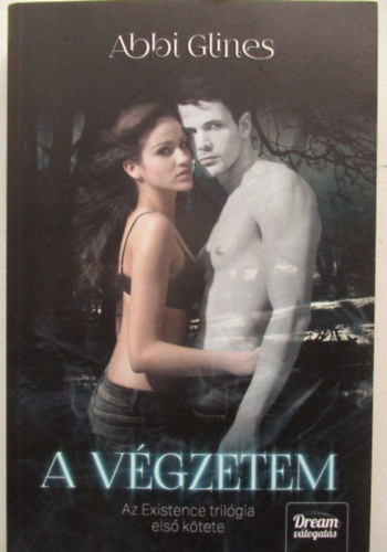Abbi Glines - A v�gzetem