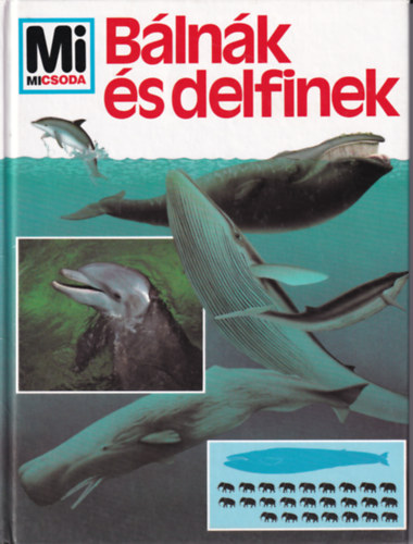 Petra Deimer - Blnk s delfinek (Mi micsoda)