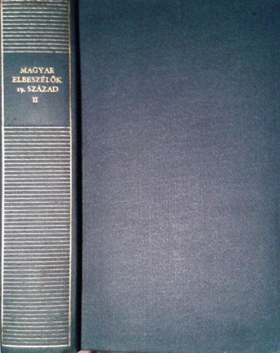 Magyar elbeszlk 19. szzad II.