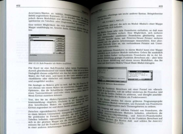 Das MS Office 95 Buch