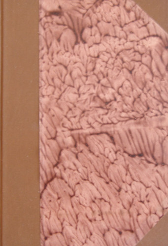 Federer Henrik - Ter�z kisasszony