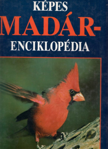 Mark Rauzon - Kpes madrenciklopdia