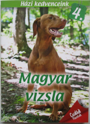Magyar vizsla - H�zi kedvenceink 4.