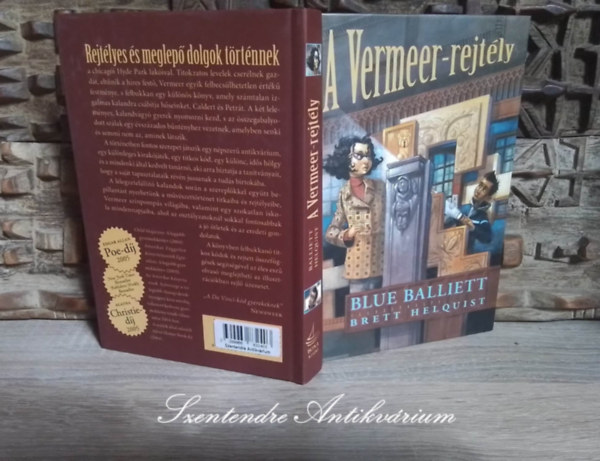 N�meti Anita  Blue Balliett (ford.), Brett Helquist (ill.) - A Vermeer-rejt�ly (Chasing Vermeer) - N�meti Anita ford�t�s�ban, Brett Helquist illusztr�ci�ival; Saj�t k�ppel!