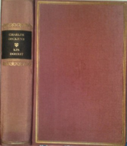 Charles Dickens - Kis Dorrit (Helikon Klasszikusok)