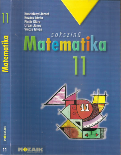 Sokszn matematika 11 - tanknyv. (MS-2311) (tizedik kiads)