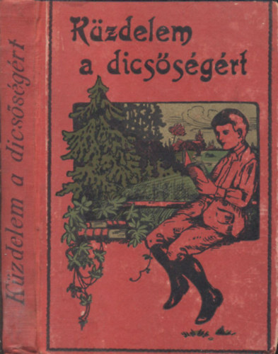 Ujfalussy Amadil - Kzdelem a dicssgrt (ifjusgi regny)