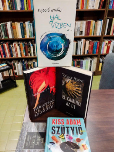 N�dudvari Anna, Tolvaly Ferenc, Kiss �d�m, F�zi L�szl� Bujdos� Istv�n - Kort�rs magyar irodalom k�nyvcsomag 5 darabos K�NYVMENT� AJ�NLAT: Hal a v�zben, P�rizsban ne l�gy szomor�!, El Camino-Az �t, Sz�tyi�, Lakatlan sziget I-III.