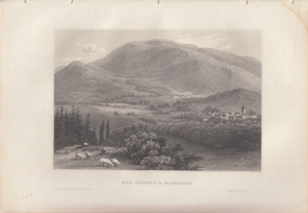 Bad Roznau in Maehren (Roznau f�rd� Mahrenben, N�metorsz�g, Eur�pa) (16x23,5 cm lapm�ret� eredeti ac�lmetszet, 1856-b�l)
