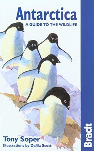 Dafila Scott  Tony Soper (illus.) - Antarctica - A Guide to the Wildlife