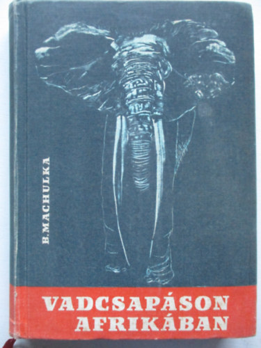 B�drich Machulka - Vadcsap�son Afrik�ban