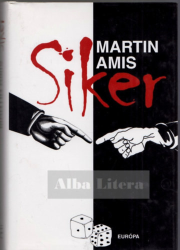 Martin Amis - Siker