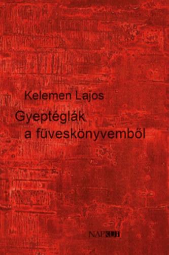 Kelemen Lajos - Gyeptglk a fvesknyvembl