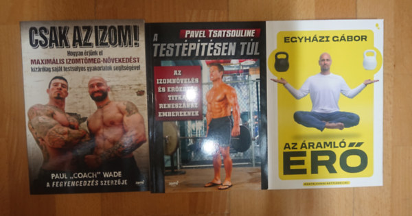 Paul "Coach" Wade, Egyházi Gábor, Pavel Tsatsouline - 3 könyv kemény edzésprogramokkal_ Csak az izom!, Az áramló erő, A testépítésen túl