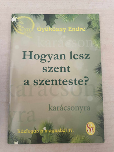 Dr. Gykssy Endre - Hogyan lesz szent a szenteste? (Kzfogs a magasbl 17.)
