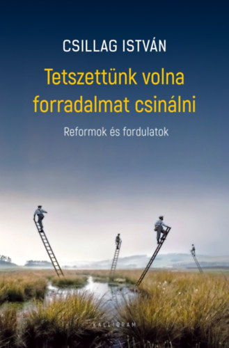 Csillag Istvn - Tetszettnk volna forradalmat csinlni