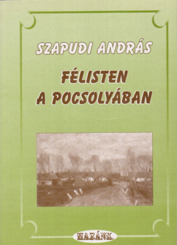 Szapudi Andrs - Flisten a pocsolyban