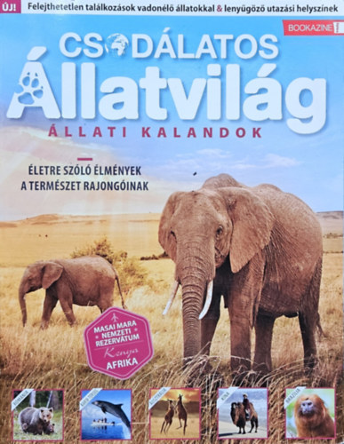 Csodlatos lllatvilg - llati kalandok Bookazine